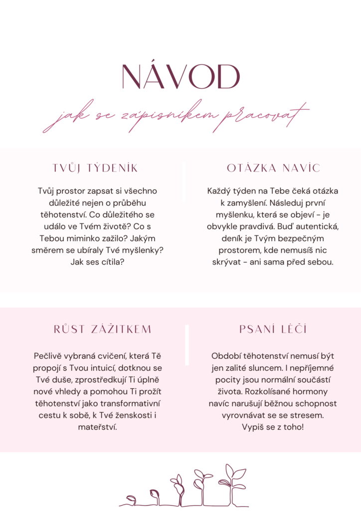 návod